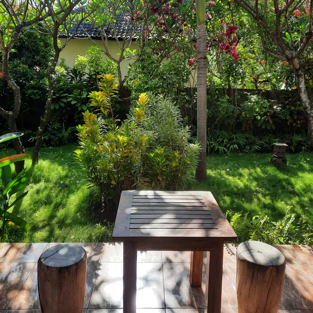 A wooden seat in a green corner of the garden