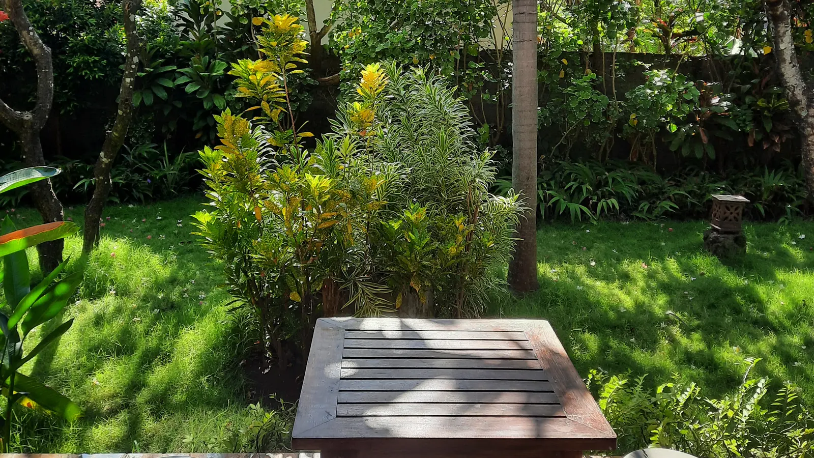 A seat in a quiet corner of the garden