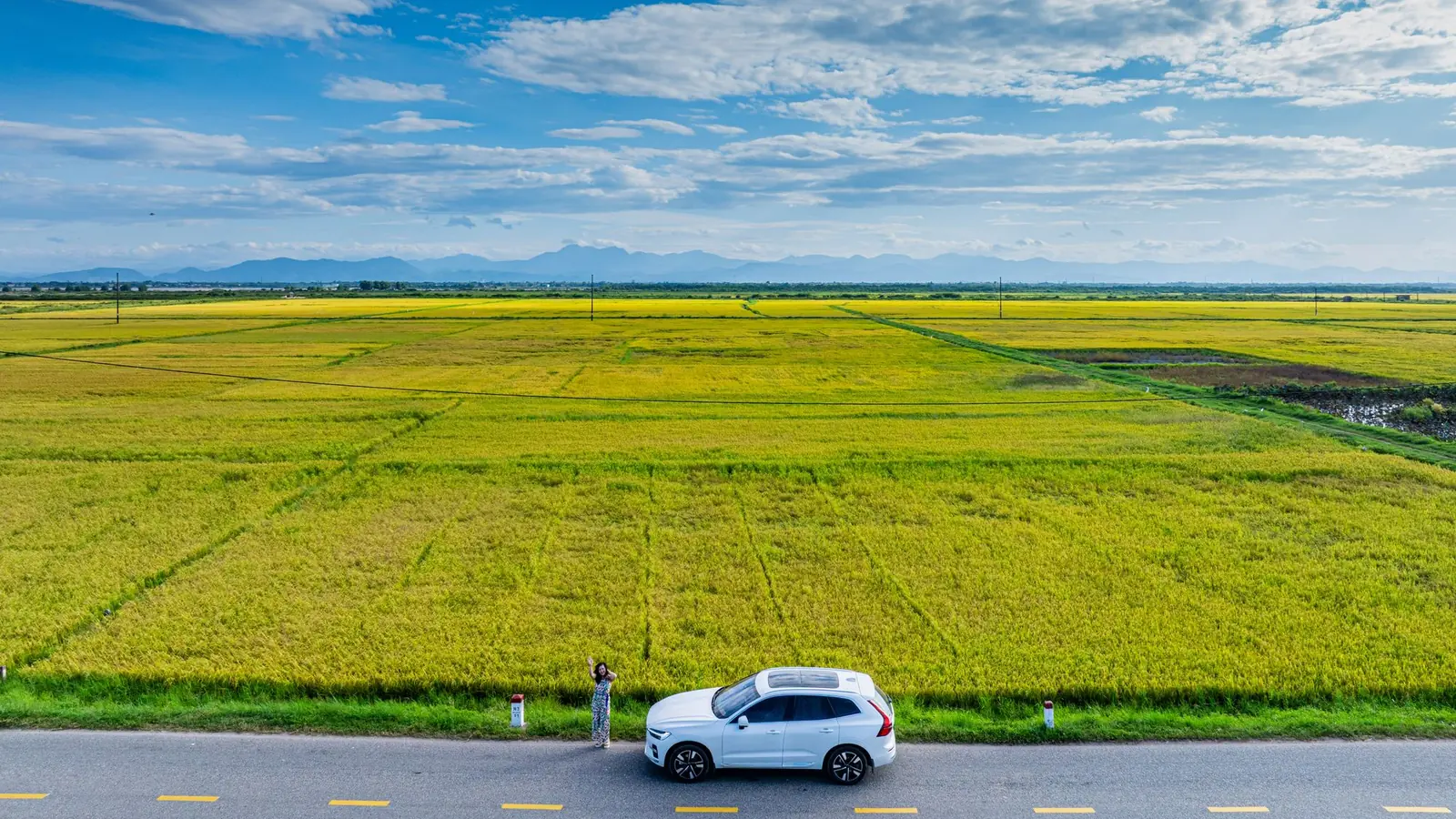 A white car on a road between green fields
