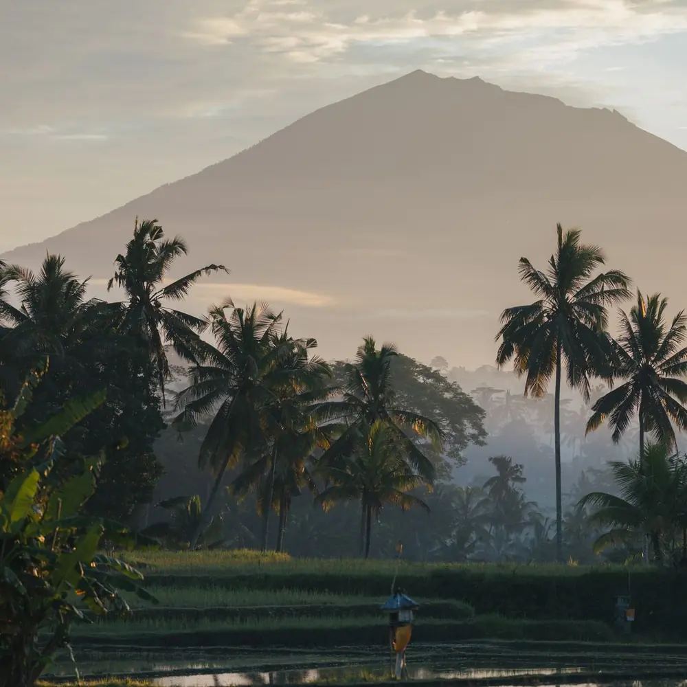 Mount Agung rising above palm trees and fields
