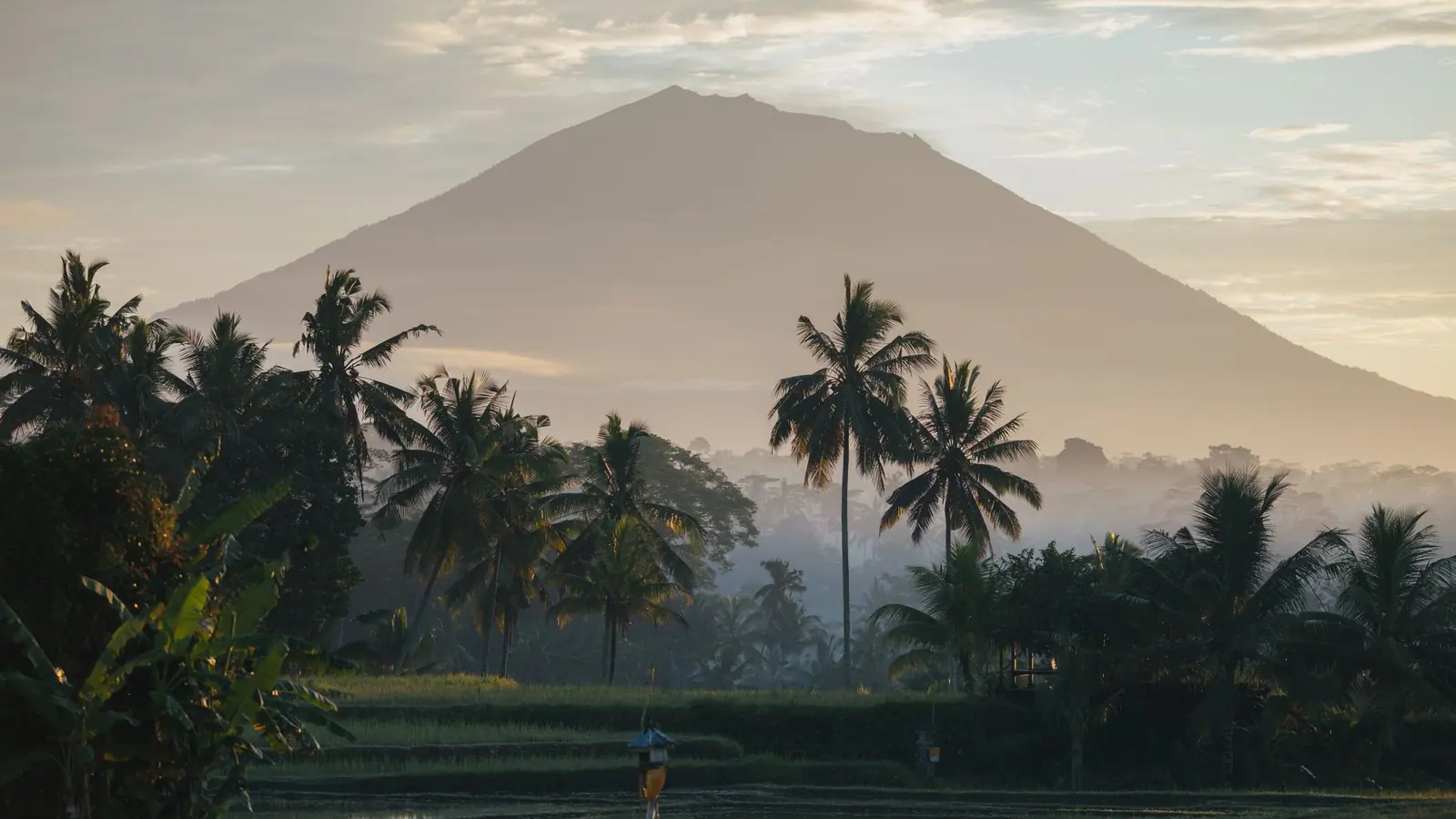 Mount Agung above palm trees in the early morning